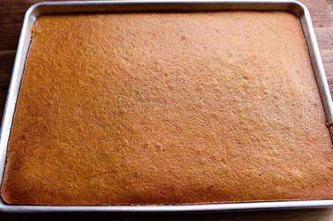 Pumpkin Cakes, Pumpkin Ravioli, Pumpkin Sheet Cake, Leftover Pumpkin, Chocolate Sheet Cake, Pumpkin Cinnamon Rolls, Sheet Cake Recipes, Pumpkin Bars, Pioneer Woman Recipes