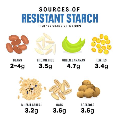 Resistant Starch Foods, Maumee Ohio, Muesli Cereal, Starch Foods, Resistant Starch, Good Gut Bacteria, Nutrition And Dietetics, Insulin Resistance, Personal Health