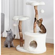 Wooden Cat Tree, Cat Scratching Tree, Modern Cat Tree, Cat Tree Condo, Cat Hiding, Cat Trees, Luxury Cat, Wood Cat, Cat Condo