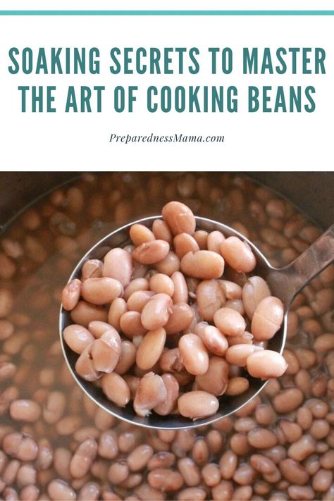 Slow Cooker Pinto Beans, Meals Mexican, Mexican Beans Recipe, Instant Pot Pinto Beans, Mexican Side Dish, Dry Beans Recipe, Cooking Beans, Mexican Side, Pinto Bean Recipes