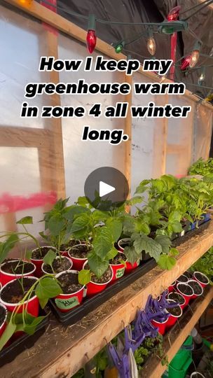 Zone 4 Winter Garden, High Tunnel Greenhouse Layout, Maximize Greenhouse Space, Green House For Winter Cold Weather, Cold Weather Greenhouse, How To Heat Greenhouse In Winter, Diy Green House Ideas, In Ground Greenhouse, Greenhouse Heating Ideas