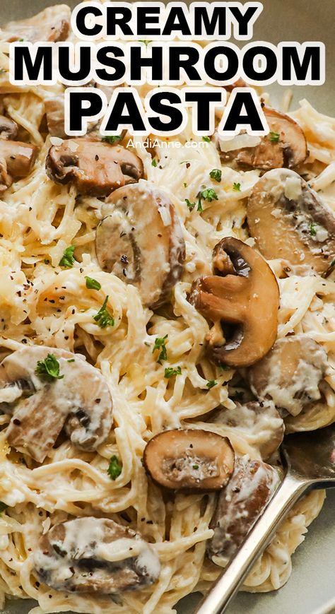 This creamy parmesan mushroom pasta is an easy all-in-one dinner idea using spaghetti pasta, fresh mushrooms and a creamy homemade sauce. It's full of delicious flavor and can be made in under 30 minutes! Noodles With Mushroom Sauce, Canned Mushrooms What To Do With, Spaghetti Mushroom Sauce, Spaghetti And Mushrooms, Parmesan Mushroom Pasta, Mushroom Feta Pasta, Mushrooms And Pasta Recipes, Dinner Ideas With Spaghetti Noodles, Spaghetti Mushroom Recipe