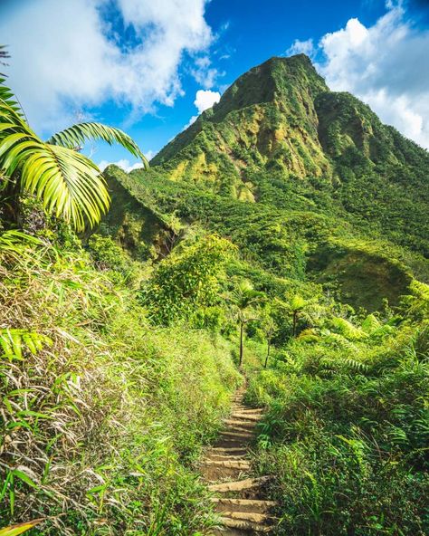 The Caribbean island of Dominica: 11 facts that will surprise you Carrabian Island, Dominica Island Caribbean, Dominica Carribean, Carabian Island, Dominica Travel, Dominica Caribbean, Dominica Island, Caribbean Aesthetic, Caribbean Holiday