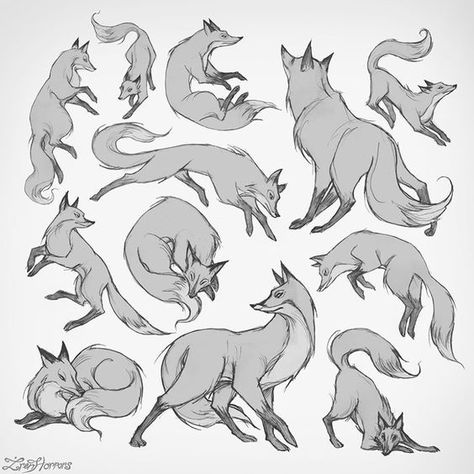 Fox Drawing Sketches, Fox Sketch, Fox Drawing, 강아지 그림, Animal Study, Fox Art, Animal Sketches, Drawing Tutorials, Cute Animal Drawings