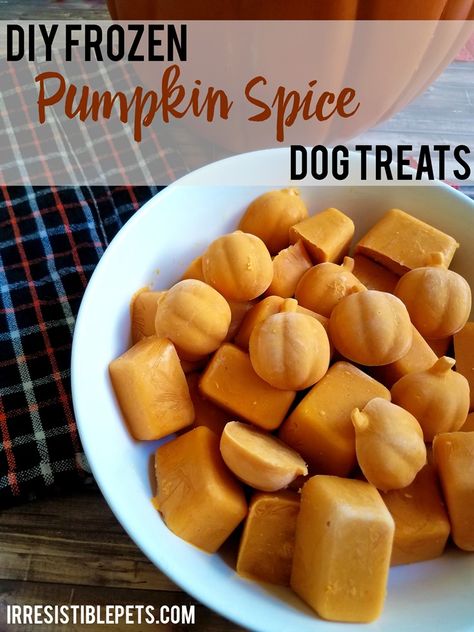 Pumpkin Recipes For Dogs, Pumpkin Spice Treats, Homemade Dog Cookies, Frozen Dog Treats, Frozen Pumpkin, Dog Biscuit Recipes, Pumpkin Dog Treats, Frozen Dog, Healthy Dog Treat Recipes