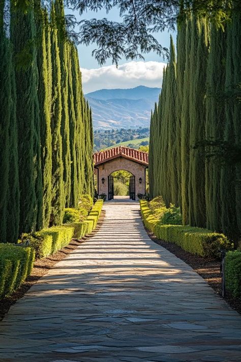 "🍷🌄 Sip and savor in Sonoma, California’s premier wine country! Enjoy exquisite wine tastings, picturesque vineyards, and charming wineries. 🍇🍷 #SonomaWineCountry #WineTasting #VineyardViews" Mediterranean Vineyard, Winery Aesthetics, California Wine Country Vacation, Vineyard Aesthetic, Italian Winery, Italian Vineyard, America Photo, California Vineyards, California Winery