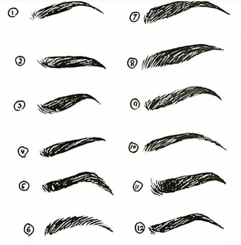 Makeup Artist ^^ | https://pinterest.com/makeupartist4ever/ Eyebrow Types Manga Eyebrows, Eyebrows Drawing, Manga Makeup, Draw Eyebrows, Picture Tips, Makeup Eyebrows, Drawing Manga, Drawing Tutorial Face, How To Draw Eyebrows