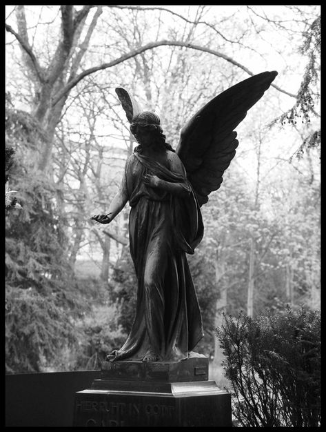 dark angel statue  by ~icarus-ica Dark Angelcore, Hades Aesthetic, Gothic Academia, Darkest Academia, Images Terrifiantes, Angelcore Aesthetic, Angel Statue, Angel Aesthetic, Angel Statues