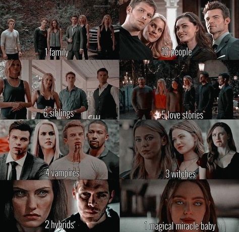 The Originals Mikaelson Family, The Originals Wallpaper, Originals Funny, The Mikaelson Family, The Originals Tv Show, Icon People, Legacy Quotes, Mikaelson Family, Fandom Quotes