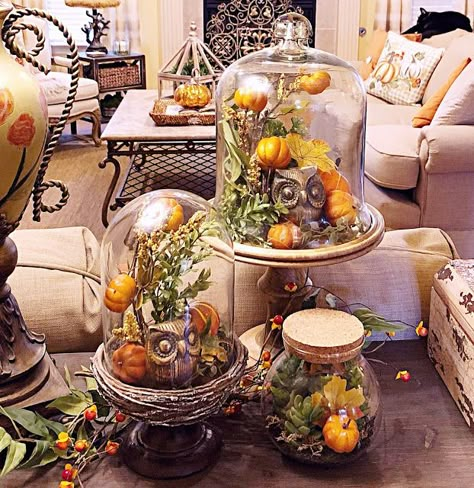 Cloches Decor Ideas For Fall, Fall Cloche Ideas, Fall Terrarium, Glass Dome Fall Decor, Glass Dome Halloween Decor, Fall Cloche Ideas Glass Domes, Fall Cloche, Halloween Glass Domes, Diy Cloche