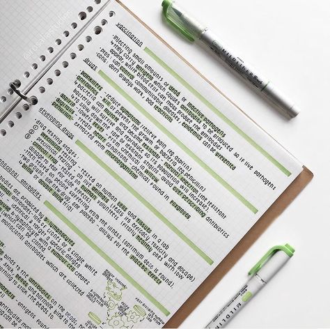 Outline Notes Ideas, Aesthetic Notes With Highlighters, Aesthetic Notes Highlighter, Cute College Notes, Study Notes Organization, Pretty Study Notes Layout, Aesthetic Definition Notes, Minimalist School Notes, Notes Ideas Minimalist