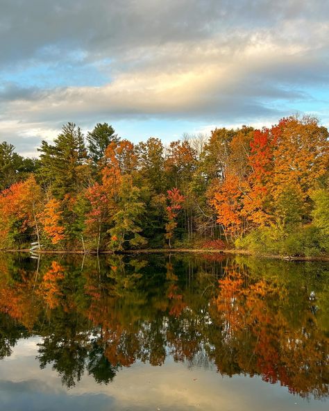 Nothing like a crisp fall walk with Nala bean after sitting in front of a screen all day 🍂🫶🏻 #leafpeeping #fallinmaine #mainefall #naturewalks #fallfoliage #fallvibes #mainelife #getoutside #fallcolors #maineisbeautiful #mainer Maine In The Fall, Fall Walk, Leaf Peeping, Walking In Nature, Fall Foliage, Get Outside, Fall Vibes, Fall Colors, Maine