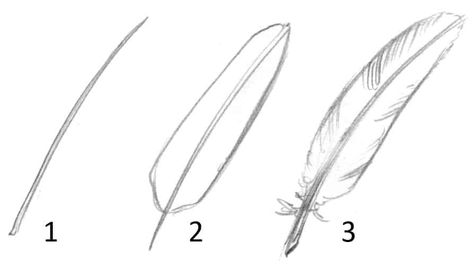 Cool Easy Drawings, Feather Drawing, Animation Tools, Things To Draw, Cute Easy Drawings, Drawing Lessons, Drawing Skills, Love Drawings, Drawing Tips