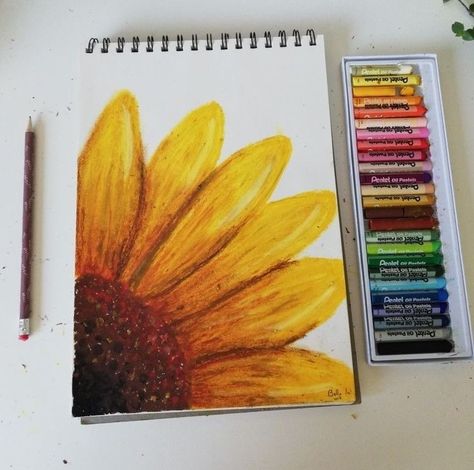 Things To Make With Oil Pastels, Painting By Oil Pastel, Drawing Ideas Oil Color, Drawing In Oil Pastels, Drawing With Oil Color, Painting With Crayons Oil Pastels, Drawings Using Oil Pastels, Sunflower Pastel Drawing, Sunflower Pastel Art