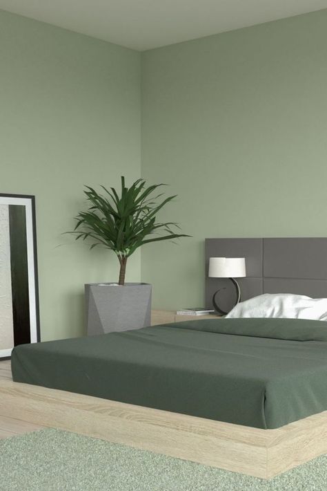 Sage Green Walls with Dark Green Bedding Aesthetic House Paint Interior, Green Color Wall Design, Sage Green Bedroom Colour Palettes Accent Wall, Room Color Ideas Bedroom Paint Aesthetic, Kamar Sage Green, Green Room Design Ideas, Wall Painting Ideas Green Shades, Room Painting Ideas Light Colors, Aesthetic Wall Room Paint