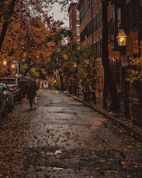 ☕️ on Twitter: "fall weather 🍂☔️… " Dark Academia Aesthetic, Academia Aesthetic, Fall Pictures, Best Seasons, We Fall In Love, Autumn Cozy, Lombok, Autumn Aesthetic, Fall Wallpaper