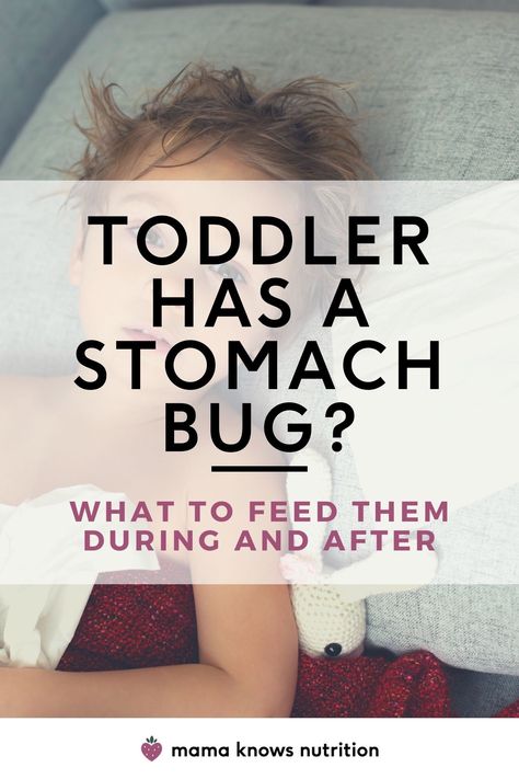 What To Feed Your Toddler During & After A Stomach Bug Easy On Tummy Recipes, Stomach Settling Foods, Gi Bug Remedies, Stomach Bug Smoothie, Best Food To Eat After Stomach Bug, Natural Remedies Stomach Bug, Peach Syrup For Stomach Bug, Stomach Bug Essential Oils, Toddler Stomach Ache Remedies