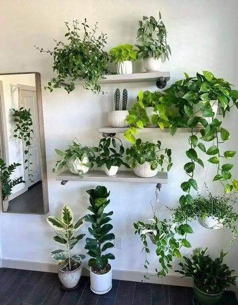 50+ Fabulous DIY Home Décor Ideas on a Budget - Dengarden Wall Plants Indoor, Living Wall Indoor, Indoor Plant Wall, Hanging Plant Wall, Fabulous Diy, Bathroom Plants, Plant Decor Indoor, Plant Aesthetic, House Plants Decor