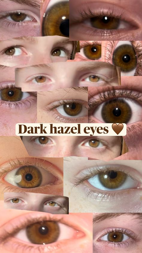 this is a dark hazel/light brown eyes appreciation post 🤎 #lightbrowneyes #darkhazeleyes #browneyes #hazeleyes Dark Hazel Eyes, Pretty Eyes Color, Hazel Brown Eyes, Light Brown Eyes, Rare Eye Colors, Dark Green Eyes, Brown Eyes Aesthetic, Hazel Green Eyes, Rare Eyes