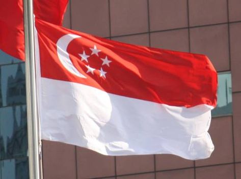 Singapore flag Flag Of Singapore, Weird Laws, Singapore Flag, Holiday In Singapore, Singapore Dollar, Singapore Photos, Holiday Calendar, Southeast Asian, Flags Of The World