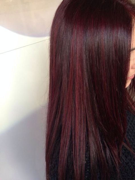 Burgundy Streaks In Brown Hair, Hair Colour Inspo For Black Hair, Brown Hair With Red Streaks, Red Undertone Hair, Cool Toned Red Hair, Hair And Glasses, Red Hair With Highlights, Wine Red Hair, Hair Color Underneath