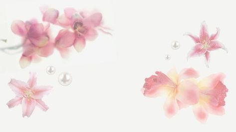 Pretty Ipad Backgrounds, Wallpaper Backgrounds Laptop Flowers, Pink Flower Macbook Wallpaper, Laptop Widget Icon, Cute Mac Backgrounds, Pink Flower Wallpaper Laptop, Cute Backgrounds Aesthetic Desktop, Pretty Slideshow Presentation, Ipad Homescreen Ideas Background Pink