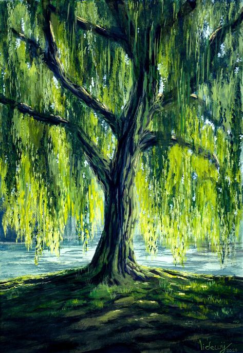 Willow Tree Art, Tree Painting Canvas, Small Canvas Paintings, Canvas For Beginners, Weeping Willow, Canvas Painting Designs, Landscape Art Painting, Nature Art Painting, Willow Tree