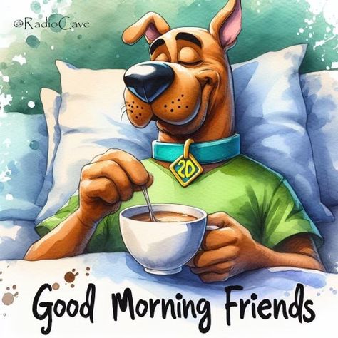 Scooby Doo Pictures, Good Morning Cat, Scooby Doo Movie, Scooby Doo Images, Funny Day Quotes, Morning Cat, Happy Morning Quotes, Funny Good Morning Quotes, Morning Cartoon