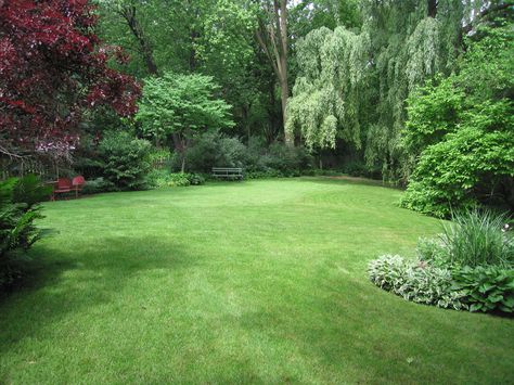 Backyard Landscaping Ideas | Very Large (10,000 sq ft - Half Acre) Landscaping Ideas > Pictures ... Large Yard Landscaping, Acreage Landscaping, Pacific Northwest Garden, Northwest Garden, Large Backyard Landscaping, Patio Grande, Big Backyard, Large Yard, Large Backyard