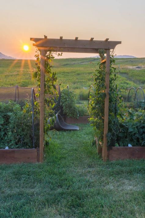 10 Easy DIY Garden Arbor & Arch Ideas Raised Garden Ideas, Wooden Arbor, Beautiful Home Gardens, Garden Arbor, Garden Entrance, Slumping, Garden Features, Easy Garden, Garden Structures