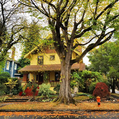 Portland House Exterior, Fall Victorian House, Portland Oregon Homes, Portland Oregon Aesthetic Homes, Portland Oregon House Exterior, Oregon Houses, Portland Oregon Houses, Autumn Neighborhood Aesthetic, Portland Neighborhoods