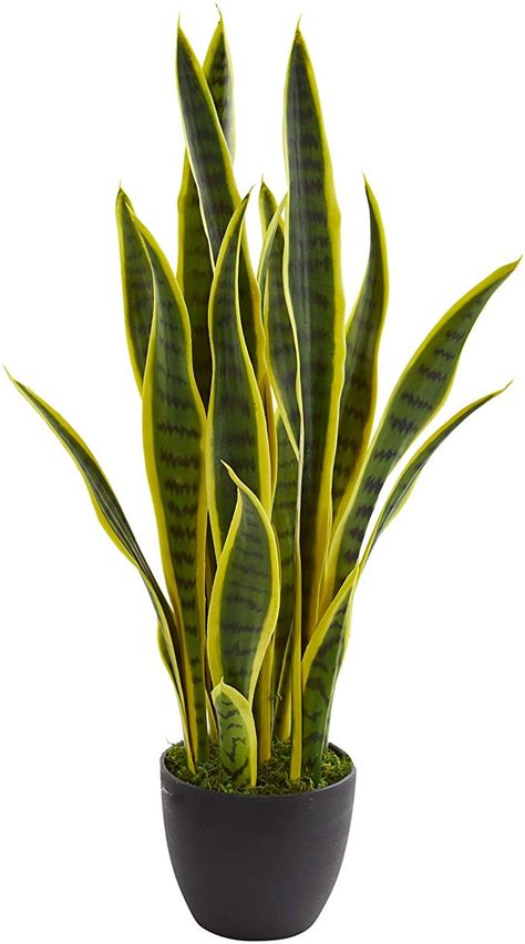 Amazon.com: Nearly Natural 26 in. Sansevieria Artificial Silk Plants, Green: Kitchen & Dining Snake Plant Decor, Sansevieria Plant, Fake Plants Decor, Hanging Plants Indoor, Plant Decor Indoor, Silk Plants, Plant Aesthetic, Monstera Plant, House Plants Decor