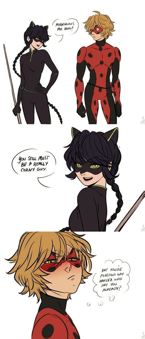 Marichat Comic, Comics Ladybug, Ladybug E Catnoir, Mlb Comics, Catnoir And Ladybug, Miraculous Ladybug Kiss, Lady Noir, Ladybug Art, Miraculous Ladybug Oc