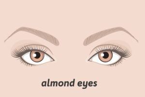 Almond Eyes Shape, Almond Shape Eyes, Almond Eye Shape, Eyes Shape, Different Types Of Eyes, Protruding Eyes, Drooping Eyelids, Monolid Eyes, Wide Set Eyes