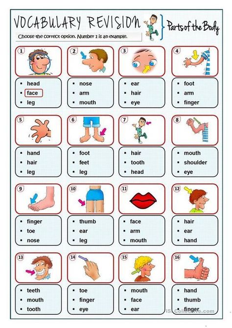 This is a fun worksheet to repeat vocabulary related to parts of the body. Learn English Kid, Body Parts For Kids, English Worksheets For Kindergarten, Grammar For Kids, English Teaching Materials, English Activities For Kids, English Exercises, Teaching English Online, Learning English For Kids