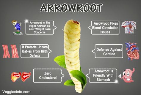 Arrowroot Benefits, Arrowroot Flour, Arrowroot Powder, Unborn Baby, Cholesterol Levels, Blood Circulation, Fix You, Health Benefits, Health Tips