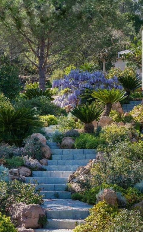 Steep Hillside Landscaping, Backyard Hill Landscaping, Landscape Stairs, Modern Gardens, Landscaping On A Hill, Dark Garden, Dreamy Garden, Rock Landscaping Ideas, Hillside Garden