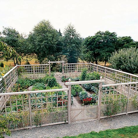 Pleasure Garden, Deer Resistant Garden, Fenced Vegetable Garden, Garden Fence Ideas, Diy Garden Fence, Deer Fence, Fence Garden, Plants Growing, Potager Garden