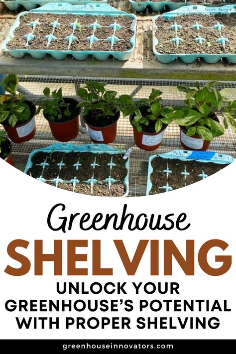 Greenhouse Shelving Organizing Greenhouse, Greenhouse Organization Ideas, Greenhouse Set Up Inside, Greenhouse Organization, Greenhouse Shelving Ideas, Basement Greenhouse, Greenhouse Setup, Diy Greenhouse Shelves, Greenhouse Shelving