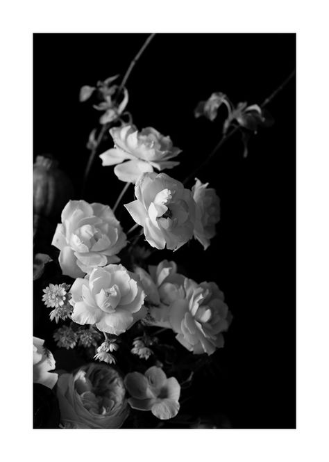 A close up on a beautiful Dutch Master style floral arrangement by Fleur in Chicago Artfully Walls, Black And White Floral, Floral Arrangement, Close Up, Chicago, Black And White, Floral, Flowers, White