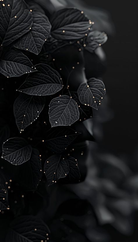 Beautiful Dark Background, Best Dark Wallpapers Hd, Black Wallpaper Aesthetic Background, Beautiful Dark Wallpaper, Black And Gold Wallpaper Iphone, Wallpaper For Phone Black, Wallpaper Black Dark, Dark Background Images, Black Flowers Aesthetic