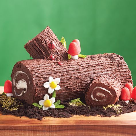 Woodland Cake. Roulade cake with chocolate frosting and creme filling. Swiss Roll Birthday Cake, Roll Birthday Cake, Roulade Cake, Gruffalo Party, Woodland Party Theme, Diy Birthday Cake, Woodland Cake, Forest Birthday, Woodland Birthday Party