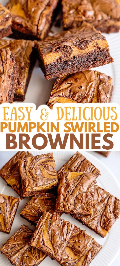 Pumpkin Swirl Brownies - These easy Pumpkin Brownies are my go-to brownie for the fall months. This is a box mix brownie recipe with a fun from scratch pumpkin cheesecake swirl throughout. These brownies are colorful, moist, and delightful down to the last crumbs. #cookiedoughandovenmitt #falldesserts #pumpkin #brownies #pumpkindesserts #pumpkinrecipes Swirled Brownies, Pumpkin Swirl Brownies, Pumpkin Cheesecake Brownies, Dessert Halloween, Cheesecake Brownie, Pumpkin Brownies, Swirl Brownies, Pumpkin Pancakes, Spiced Pumpkin