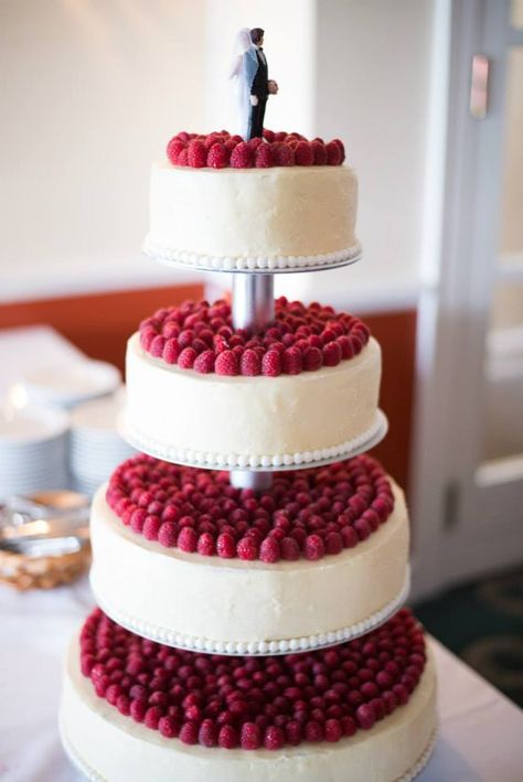 Wedding Cakes One Floor, Wedding Cake With Raspberries, Cake With Raspberries On Top, Raspberry Wedding Cake, Wedding Cake Raspberry, Wedding Ceremony Decorations Indoor, Wine Theme Wedding, Raspberry Wedding, Fruit Wedding Cake