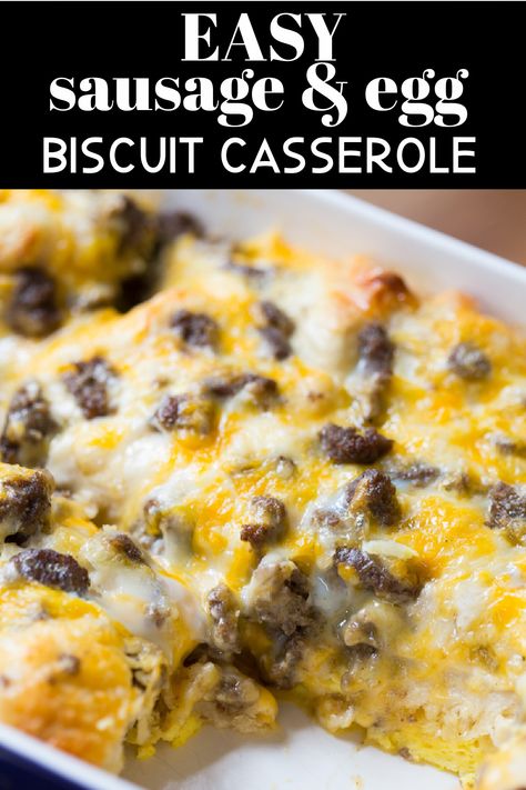 Biscuit Casserole Breakfast, Sausage Egg Cheese Biscuit, Sausage Egg And Cheese Biscuit, Brunch Sausage, Biscuit Breakfast Casserole, Egg And Cheese Biscuit, Egg And Cheese Casserole, Biscuit Breakfast, Biscuit Casserole