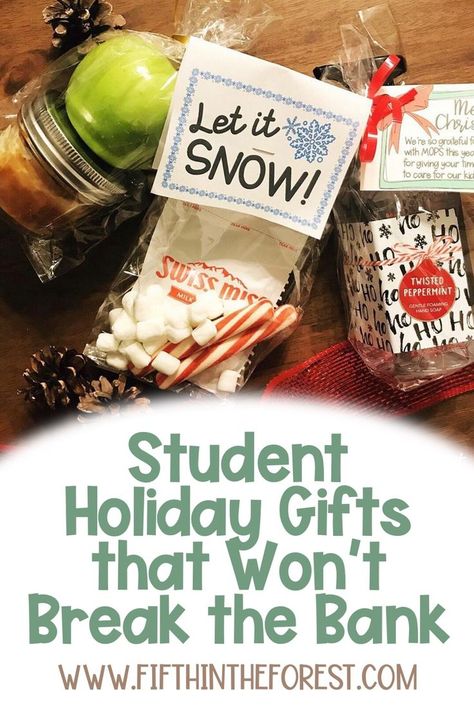 Blog post covering student holiday gifts that won't break the bank for ANY grade level. You will find FREE and CHEAP suggestions to make your preschool, elementary, middle, or high school students feels special. This is perfect for your classroom units around Christmas or in the winter season. Many of these can also be used for coworker gifts, neighbor gifts, friends, and family! Gifts For Elementary Students Christmas, Xmas Gifts For Kindergarten Students, Christmas Gift Ideas For Students To Make Parents, Christmas Presents To Students From Teacher, Student Christmas Gifts From Teacher Gloves, Classmates Gifts Christmas, Cute Christmas Gift For Students, Holiday Treats For Students, Christmas Gifts From Teacher To Students Classroom