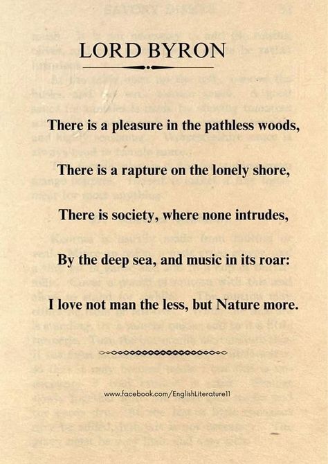 Byron Poetry, The Pathless, Old Poetry, Poetry Painting, Lonliness Quotes, Life Quotes Inspirational Motivation, Prose Poetry, Poet Quotes, Irish Quotes