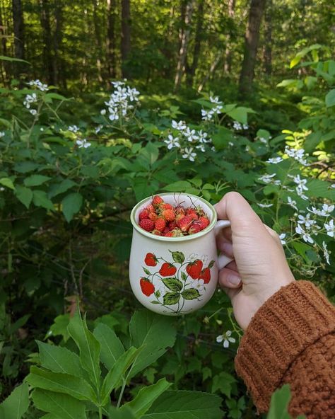 The medicinal uses of wild strawberry Corn And Broccoli, Flower Poetry, Animals And Humans, Music Flower, Forest Fruits, Strawberry Wine, Wild Strawberry, Wild Strawberries, Forest Floor