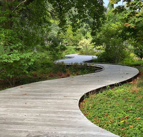 Public Landscapes | Julie Moir Messervy Design Studio Meandering Path, Wood Path, Wooden Path, Master Planning, Walkway Landscaping, Pathway Landscaping, Planting Design, Landscape Inspiration, Path Design