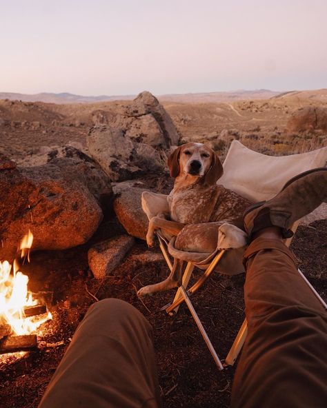 Theron Humphrey, Dog Camping, Hiking Dogs, Dog Adventure, Rescue Dog, Dog Travel, Canine Companions, Dog Photography, Mans Best Friend